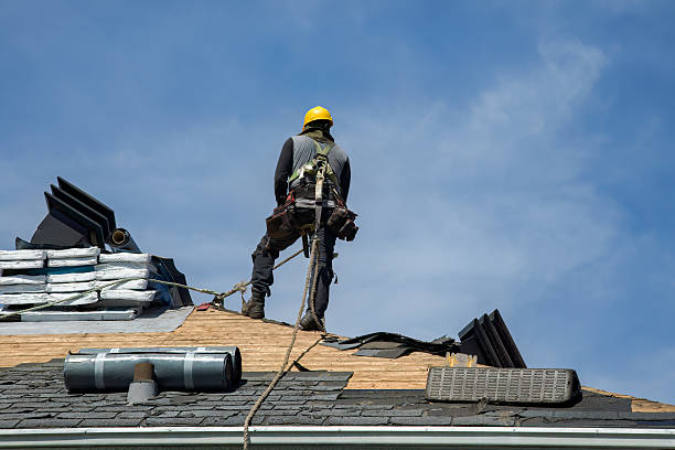 Professional Roof Repair technician working in Frazee, MN
